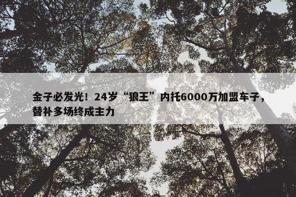 金子必发光！24岁“狼王”内托6000万加盟车子，替补多场终成主力