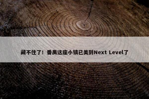 藏不住了！番禺这座小镇已美到Next Level了