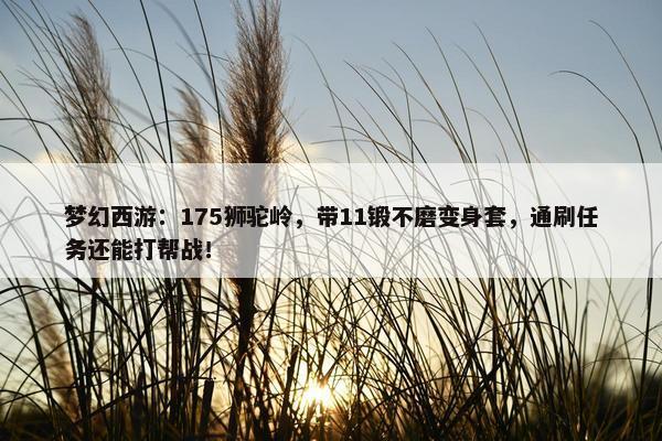 梦幻西游：175狮驼岭，带11锻不磨变身套，通刷任务还能打帮战！