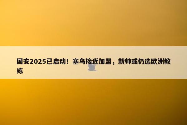 国安2025已启动！塞鸟接近加盟，新帅或仍选欧洲教练