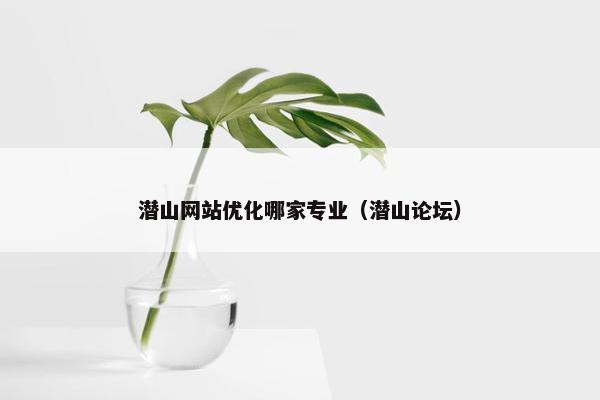 潜山网站优化哪家专业（潜山论坛）