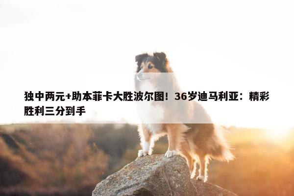 独中两元+助本菲卡大胜波尔图！36岁迪马利亚：精彩胜利三分到手