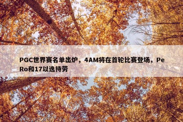 PGC世界赛名单出炉，4AM将在首轮比赛登场，PeRo和17以逸待劳