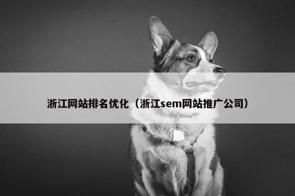 浙江网站排名优化（浙江sem网站推广公司）