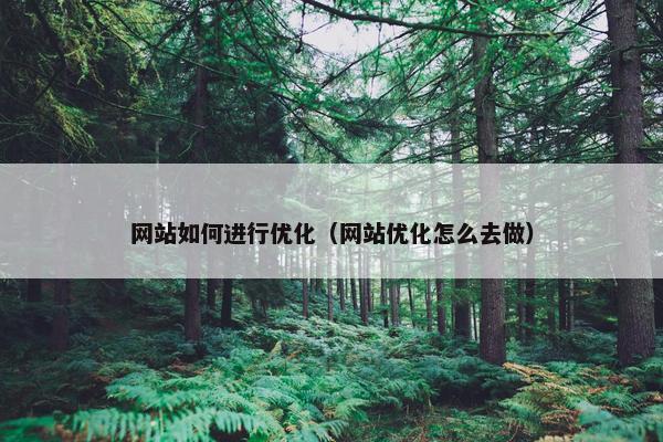 网站如何进行优化（网站优化怎么去做）