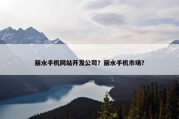 丽水手机网站开发公司？丽水手机市场？