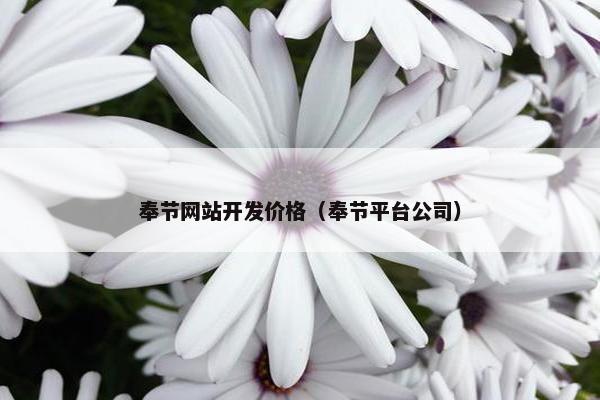 奉节网站开发价格（奉节平台公司）