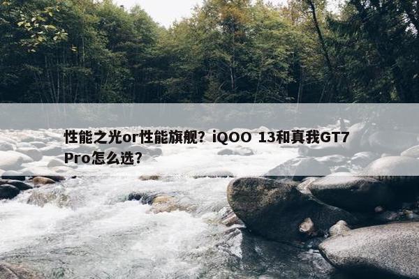 性能之光or性能旗舰？iQOO 13和真我GT7 Pro怎么选？