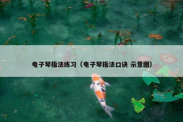 电子琴指法练习（电子琴指法口诀 示意图）