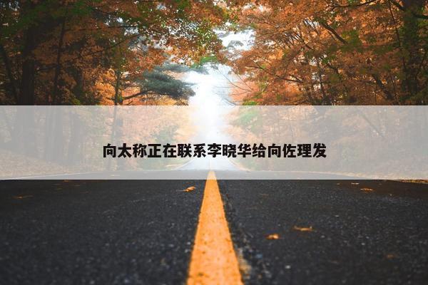 向太称正在联系李晓华给向佐理发