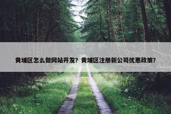 黄埔区怎么做网站开发？黄埔区注册新公司优惠政策？