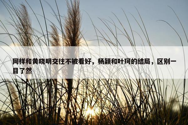 同样和黄晓明交往不被看好，杨颖和叶珂的结局，区别一目了然