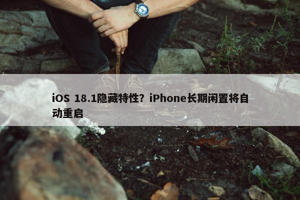 iOS 18.1隐藏特性？iPhone长期闲置将自动重启