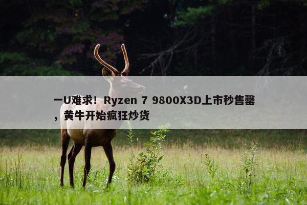 一U难求！Ryzen 7 9800X3D上市秒售罄，黄牛开始疯狂炒货