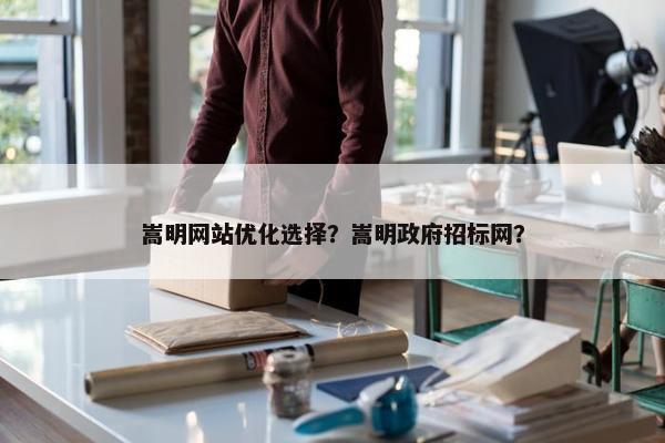 嵩明网站优化选择？嵩明政府招标网？