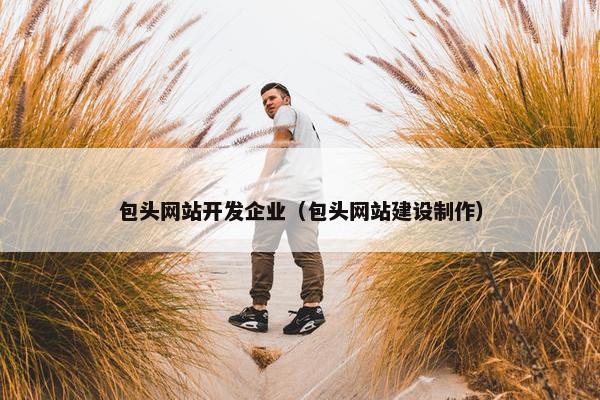 包头网站开发企业（包头网站建设制作）