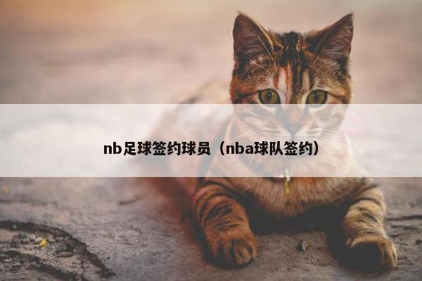 nb足球签约球员（nba球队签约）