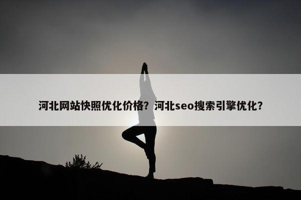 河北网站快照优化价格？河北seo搜索引擎优化？