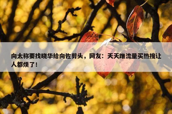 向太称要找晓华给向佐剪头，网友：天天蹭流量买热搜让人都烦了！