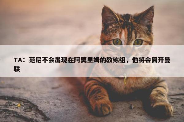 TA：范尼不会出现在阿莫里姆的教练组，他将会离开曼联