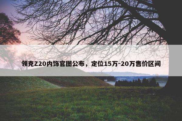 领克Z20内饰官图公布，定位15万-20万售价区间