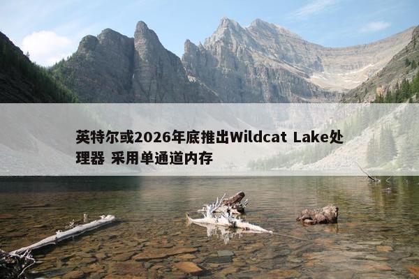 英特尔或2026年底推出Wildcat Lake处理器 采用单通道内存