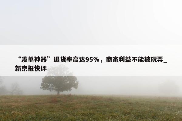 “凑单神器”退货率高达95%，商家利益不能被玩弄_新京报快评