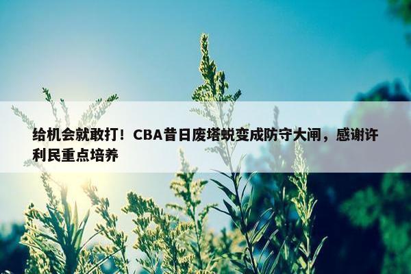 给机会就敢打！CBA昔日废塔蜕变成防守大闸，感谢许利民重点培养