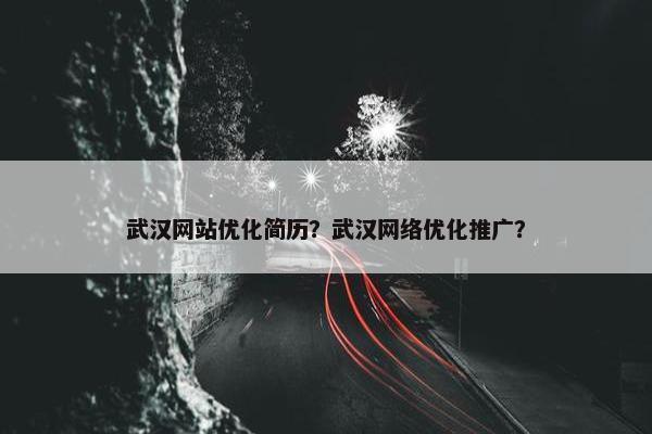 武汉网站优化简历？武汉网络优化推广？