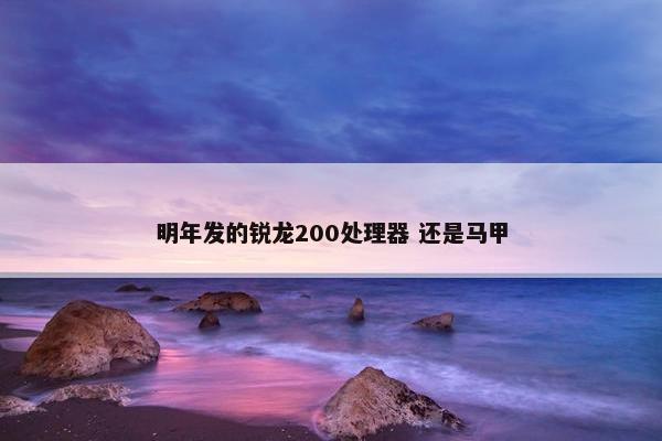 明年发的锐龙200处理器 还是马甲