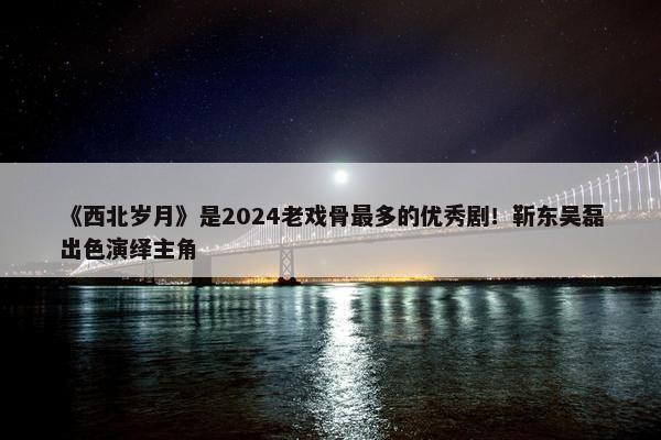 《西北岁月》是2024老戏骨最多的优秀剧！靳东吴磊出色演绎主角