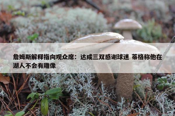 詹姆斯解释指向观众席：达成三双感谢球迷 蒂格称他在湖人不会有雕像