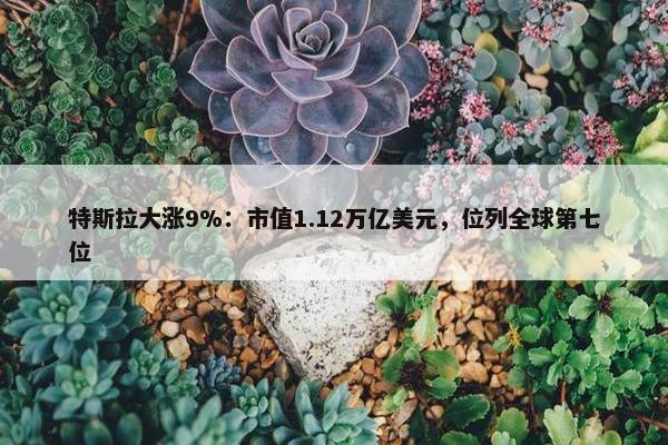 特斯拉大涨9%：市值1.12万亿美元，位列全球第七位