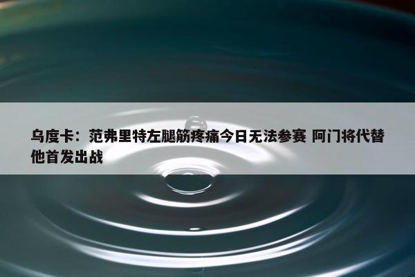 乌度卡：范弗里特左腿筋疼痛今日无法参赛 阿门将代替他首发出战