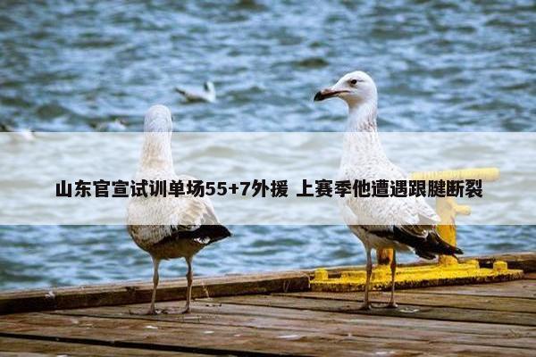 山东官宣试训单场55+7外援 上赛季他遭遇跟腱断裂