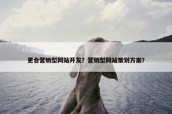 更合营销型网站开发？营销型网站策划方案？