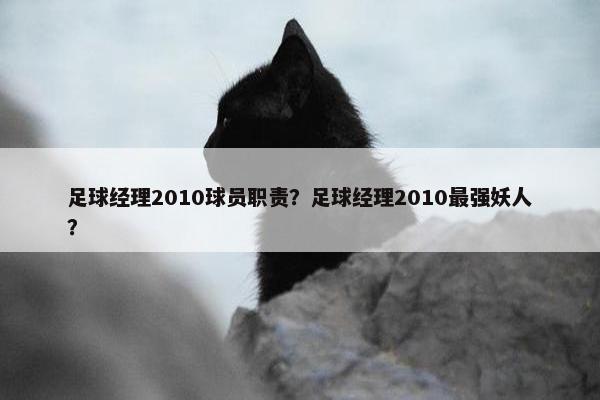 足球经理2010球员职责？足球经理2010最强妖人？