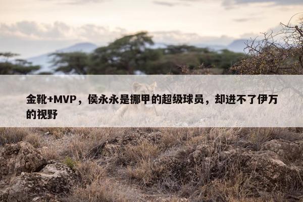 金靴+MVP，侯永永是挪甲的超级球员，却进不了伊万的视野