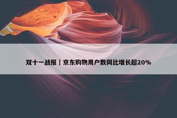 双十一战报｜京东购物用户数同比增长超20%