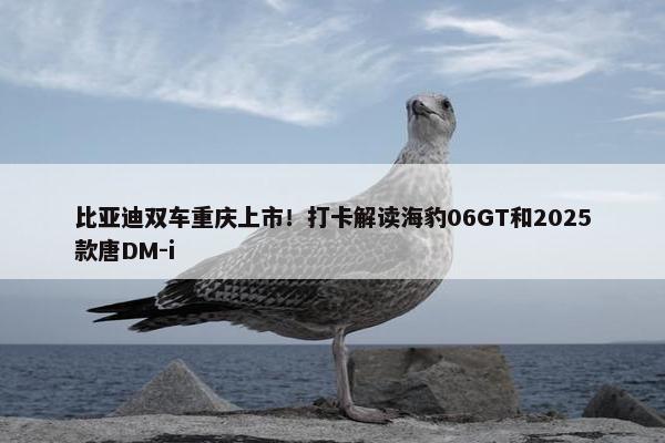 比亚迪双车重庆上市！打卡解读海豹06GT和2025款唐DM-i