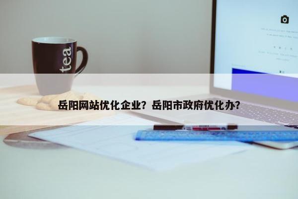 岳阳网站优化企业？岳阳市政府优化办？