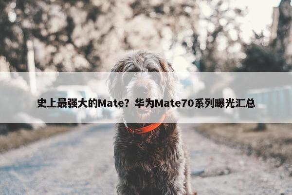 史上最强大的Mate？华为Mate70系列曝光汇总