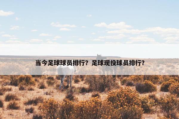 当今足球球员排行？足球现役球员排行？