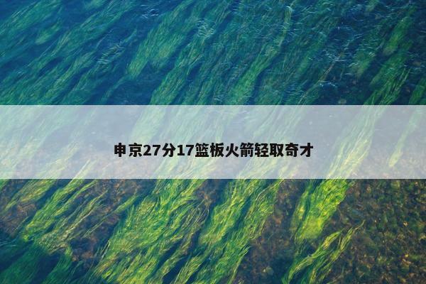 申京27分17篮板火箭轻取奇才