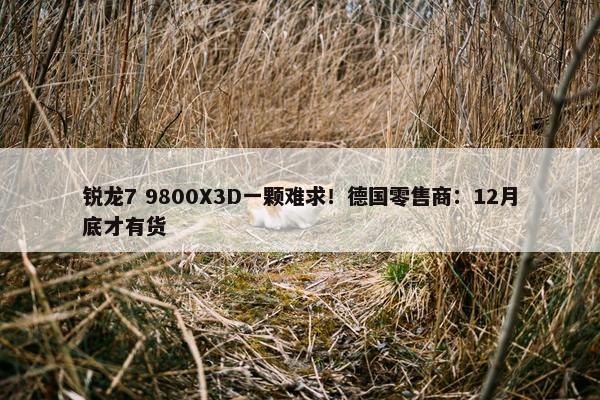 锐龙7 9800X3D一颗难求！德国零售商：12月底才有货