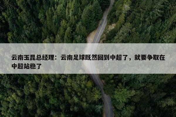 云南玉昆总经理：云南足球既然回到中超了，就要争取在中超站稳了