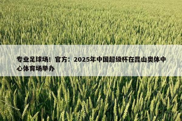 专业足球场！官方：2025年中国超级杯在昆山奥体中心体育场举办