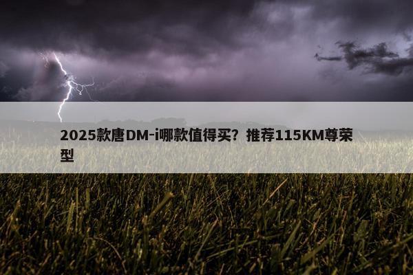 2025款唐DM-i哪款值得买？推荐115KM尊荣型