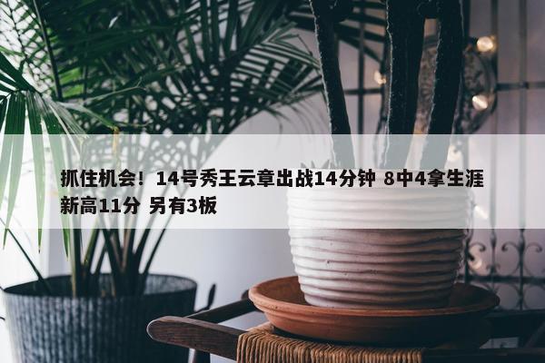 抓住机会！14号秀王云章出战14分钟 8中4拿生涯新高11分 另有3板