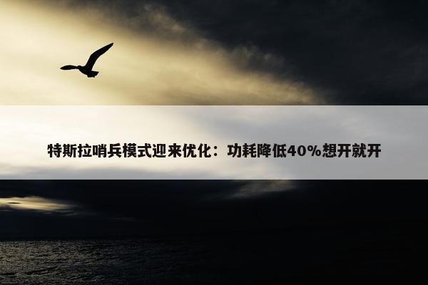 特斯拉哨兵模式迎来优化：功耗降低40%想开就开